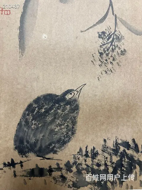 八大 精品册页 画心33.5✖️22cm✖️6开 - 图片 7