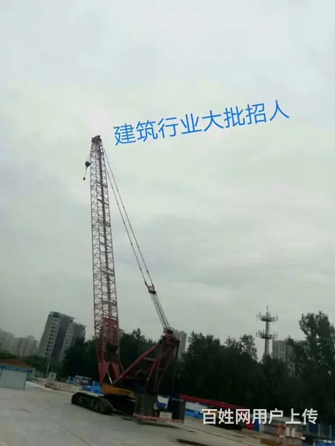 澳洲，加拿大，新西兰（工签）年薪40万以上 - 图片 4