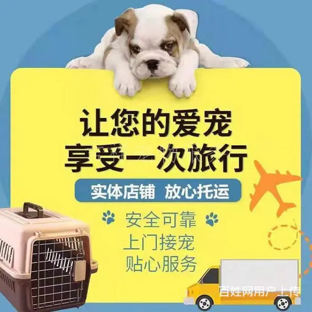 邢台宠物托运 （猫狗活体运输）宠物快递到全国 免费上门取宠 - 图片 3