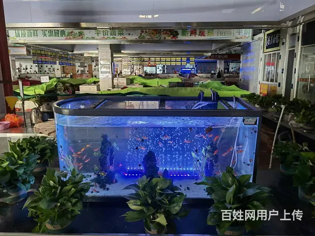 常州市新北区薛家镇顺园农贸市场盛大招商 - 图片 6