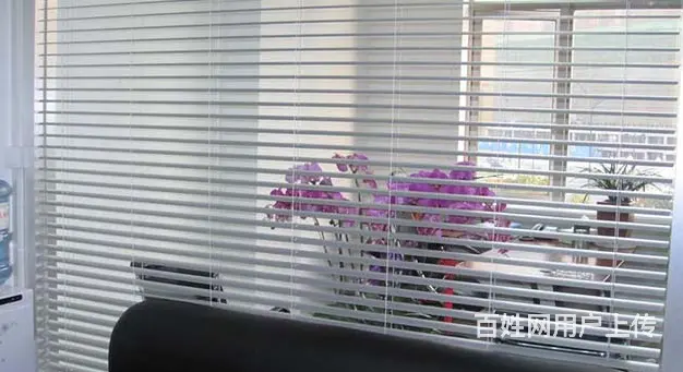 绍兴 精品纺织品 华贵布艺窗帘 地毯 百叶窗帘 - 图片 5