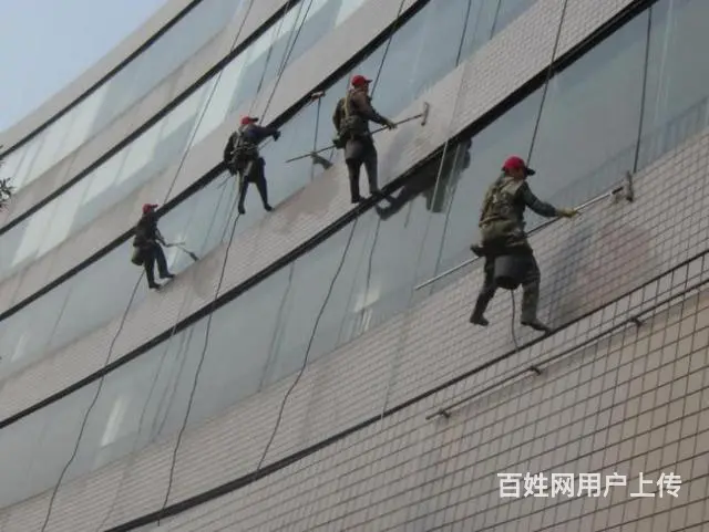 专业清洗地毯.擦玻璃.开荒保洁.外墙清洗.家电清洗 - 图片 1
