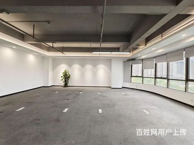 全面落地窗可定制装修带家具空调出租黄边地铁口300 - 图片 4