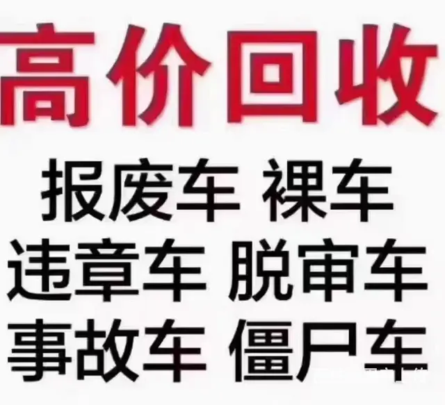 安驰 杰豹 2010款 2.0 手动 - 图片