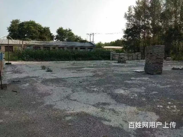 松北区万宝镇厂房场地出租 - 图片 4