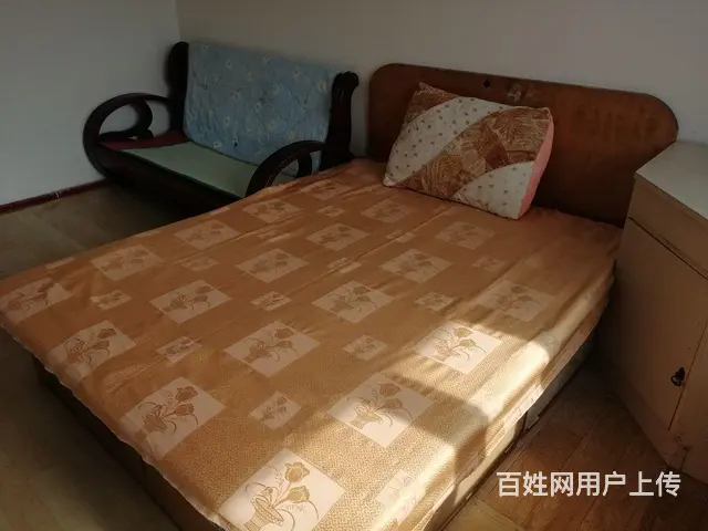 房屋出租 - 图片 7