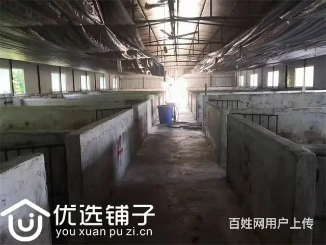 （优选铺子）巴州区曾口镇2200平养殖3万出租（可出售） - 图片 6