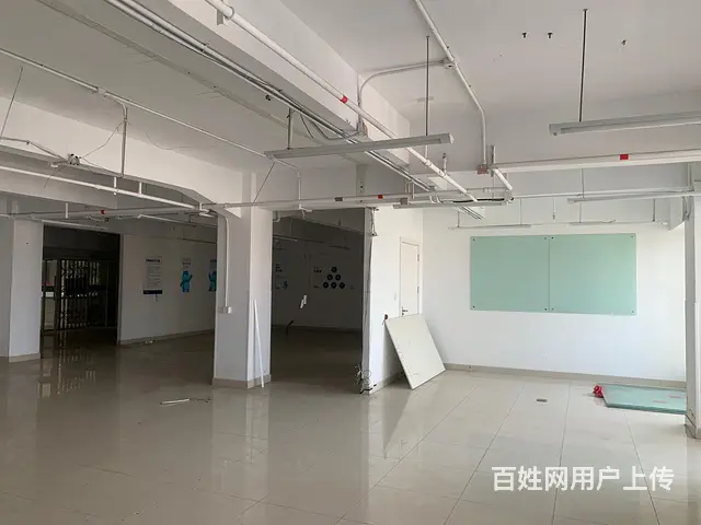 （高层）实用240平，户型方正，开间； - 图片 11