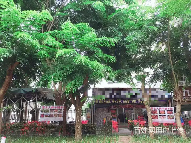 （51旺铺推荐）龙华海垦500平带外场烤羊店便宜转让 - 图片 10