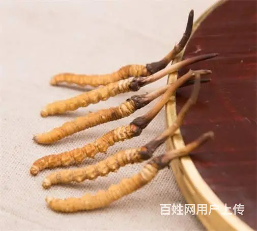 越秀冬虫夏草回收正规店铺-越秀回收虫草价格咨询商家 - 图片 8