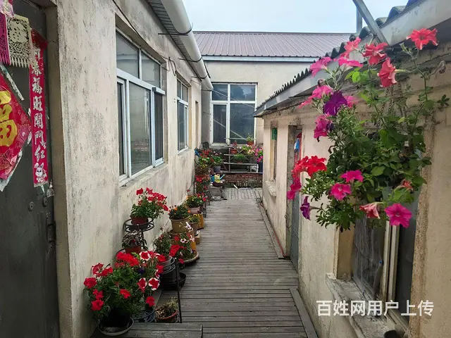 农家院便宜住 - 图片 3