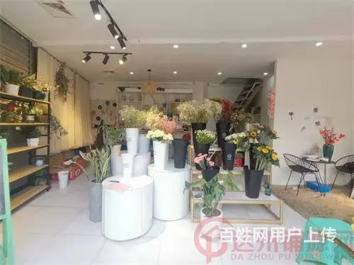 （达州铺源）西外棕榈岛附近40㎡花店转让（可空转外摆带夹层） - 图片 2