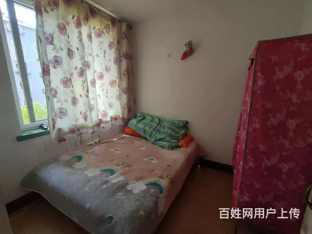北大街七中实验小学平安小区春华冬阳 - 图片 5