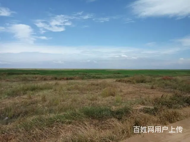 诚心找结婚女人 - 图片 6