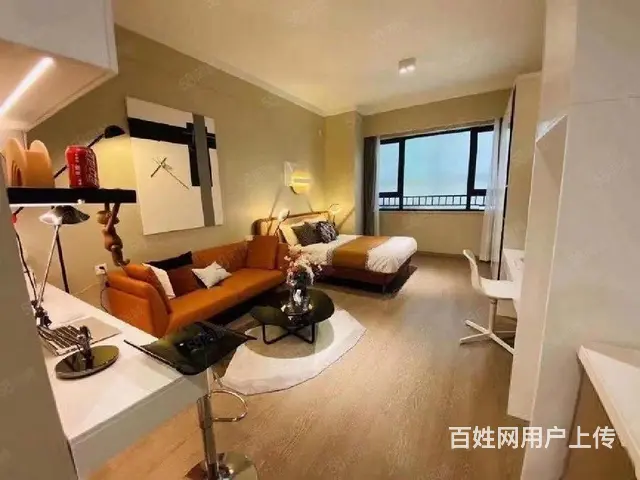 清盘特价！单价9字头 一号线口 湖塘万达旁精装公寓 - 图片 3