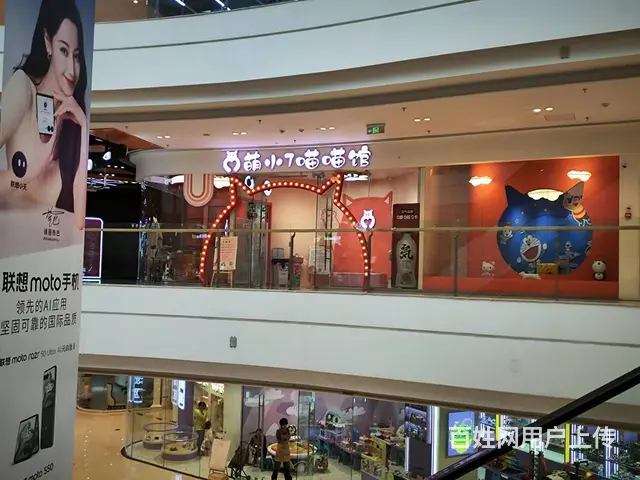 沈北新区吾悦广场宠物店出兑 - 图片 1