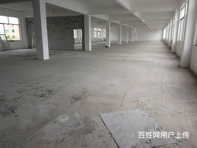 斗门珠峰大道旁全新厂房 - 图片 7