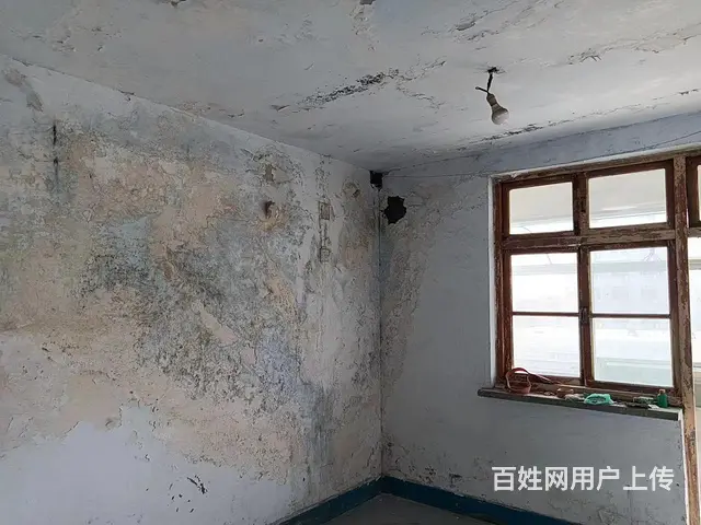 张店刮瓷刷漆，旧房翻新刷新，乳胶漆喷漆师傅个人 - 图片 4