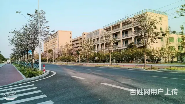 红旗小林独门、独院小型厂房 - 图片 1