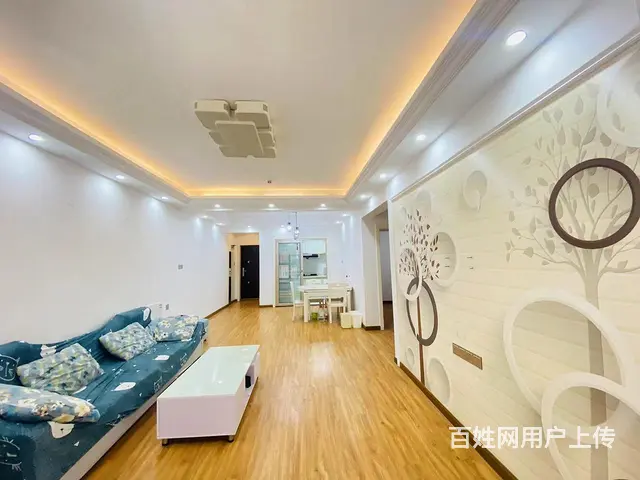 林湖景苑朝南2室 正规 值得拥有 - 图片 5