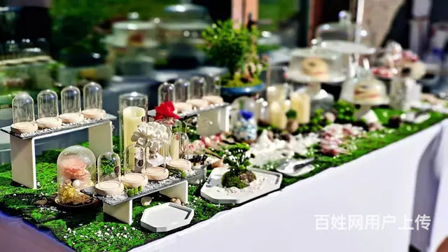 冷餐会策划餐台，高级甜品台，各类DIY，沈阳找柏菲 - 图片 9