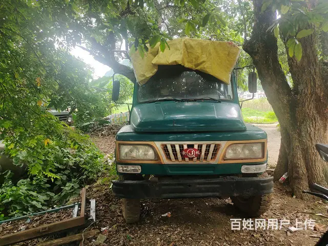 钦机海龙 - 图片 1
