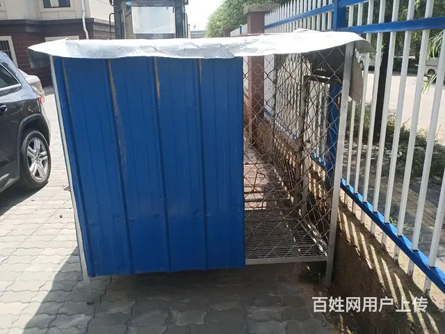 低价转让 全新大狗笼子 - 图片 3