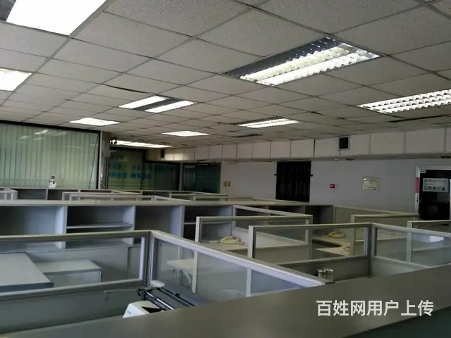 湖滨南路 闽南大厦对面 鸿翔大厦 皇达大厦 55元含票急租 - 图片 4