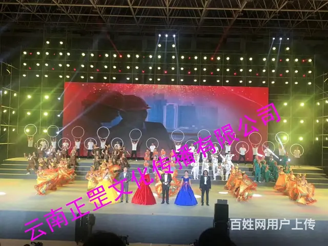活动策划、会场布置、灯光音响、LED屏、演出表演 - 图片 12