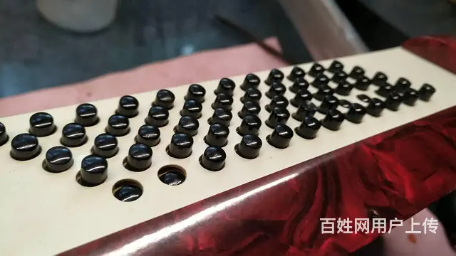 鹦鹉手风琴维修服务，专业百乐金杯鹦鹉手风琴维修 - 图片 7
