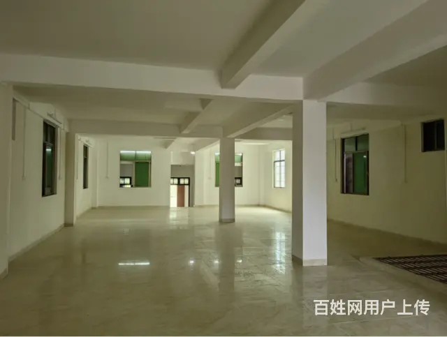 （51旺铺推荐）大致坡510平临街旺铺出租 - 图片 6