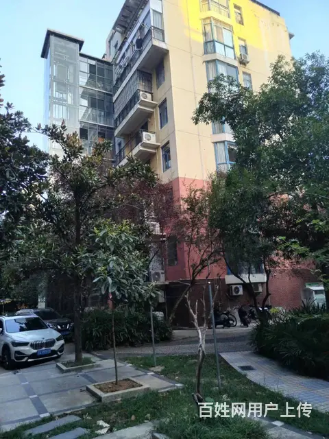 拜赞庭 电梯房3室2厅2卫 精装修全套家具家电 - 图片 2