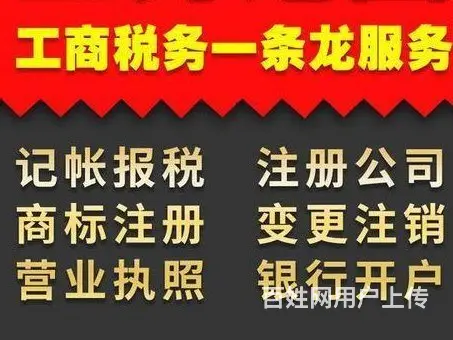 昆明嵩明营业执照发票托管找哪里 - 图片 3