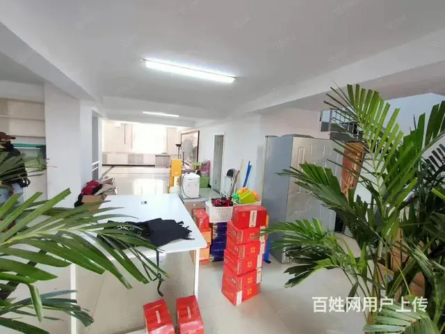 道里区经纬八道街18号门市出售 - 图片 5