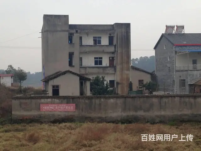 小鸦公路800方独栋房子带院子出租 - 图片 3