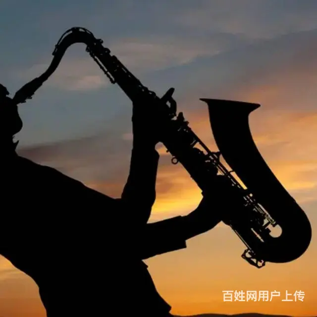 太仓市萨克斯表演演出独奏乐器表演婚礼演出公司周年庆 - 图片 1