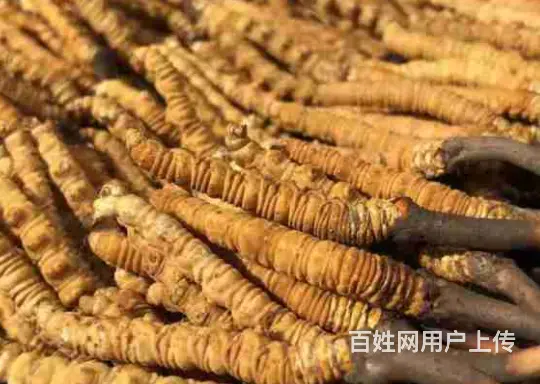 成都红酒酒瓶回收现在拉菲红酒空瓶子回收今日状况 - 图片 6