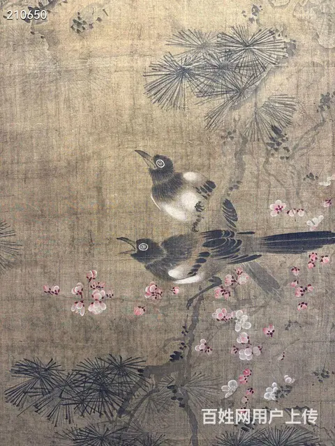 周之冕《松寿图》绢本立軸，画心尺寸66.5/154 - 图片 8