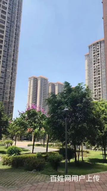 回迁房：（新）龙归城地铁口100米商住两用精装修 - 图片 5