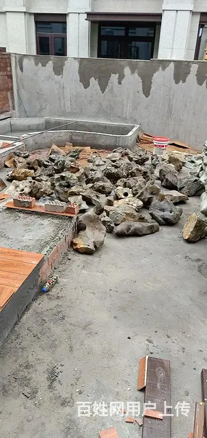 苏州锦鲤鱼批发零售价格实惠质量优 - 图片 10