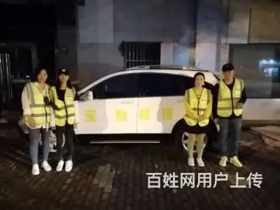 绍兴猫猫跳窗了怎么办，全国爱宠宠物救援队 - 图片 3