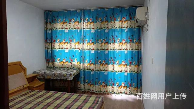 竹园二村 普通住宅1厅 中等装修 - 图片 4