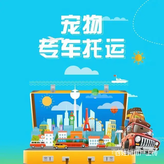 推荐） 日照宠物托运到全国）（猫狗）邮寄快递（宠物活体运输） - 图片 2