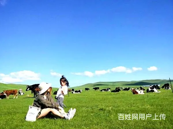 呼伦贝尔额尔古纳市草原纯玩旅游包车攻略，师傅排名 - 图片 5