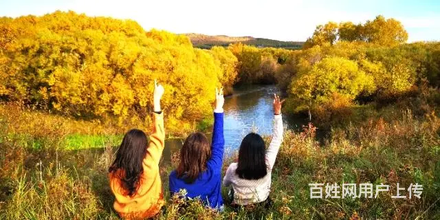 呼伦贝尔旅游新巴尔虎左旗包车师傅排名常师傅好 - 图片 4