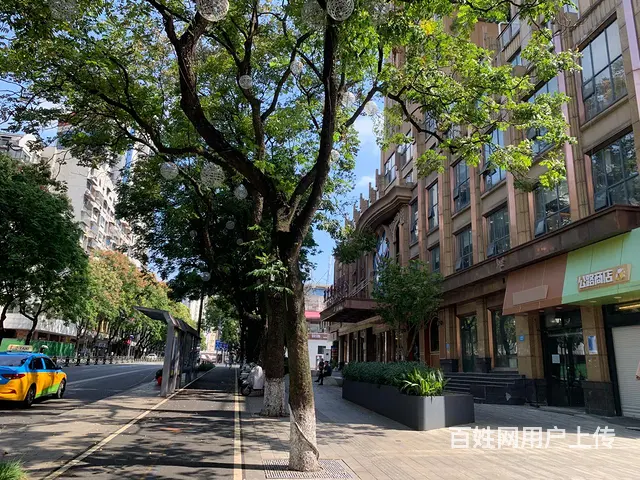 【搞定了！】云集路主街临街商铺和写字楼办公室招商出租 - 图片 7