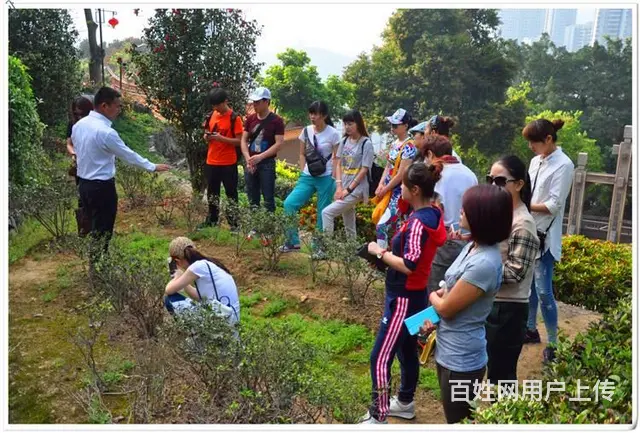 天晟茶艺培训学校学费多少钱? - 图片 5