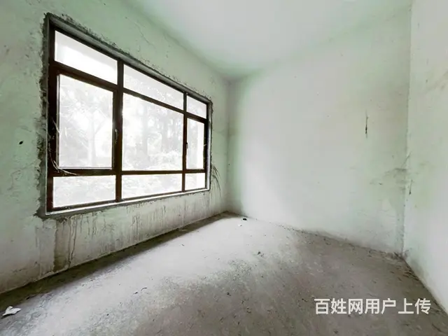碧桂园假日半岛棕榈岛 8室4厅 南 - 图片 8