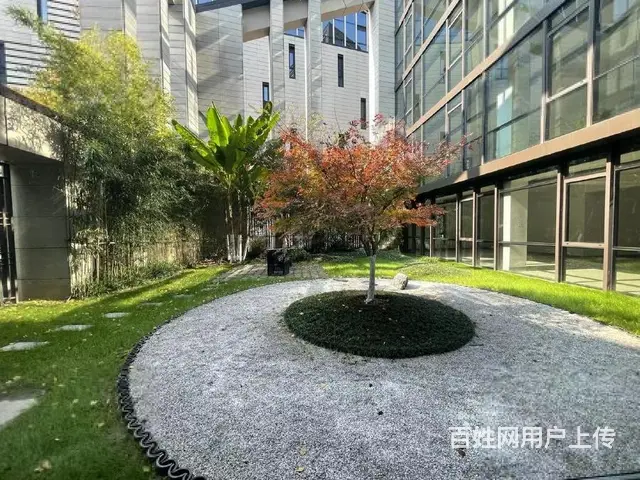上城区金瑞山南印独栋2000方8000方精装现房地铁口性价高 - 图片 4