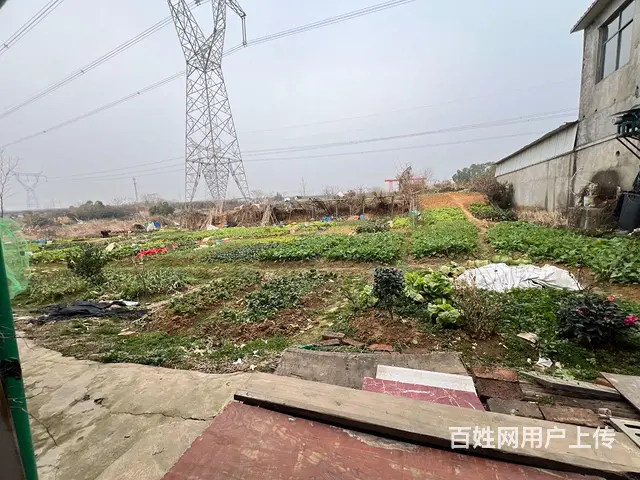 诚心出租 - 图片 5